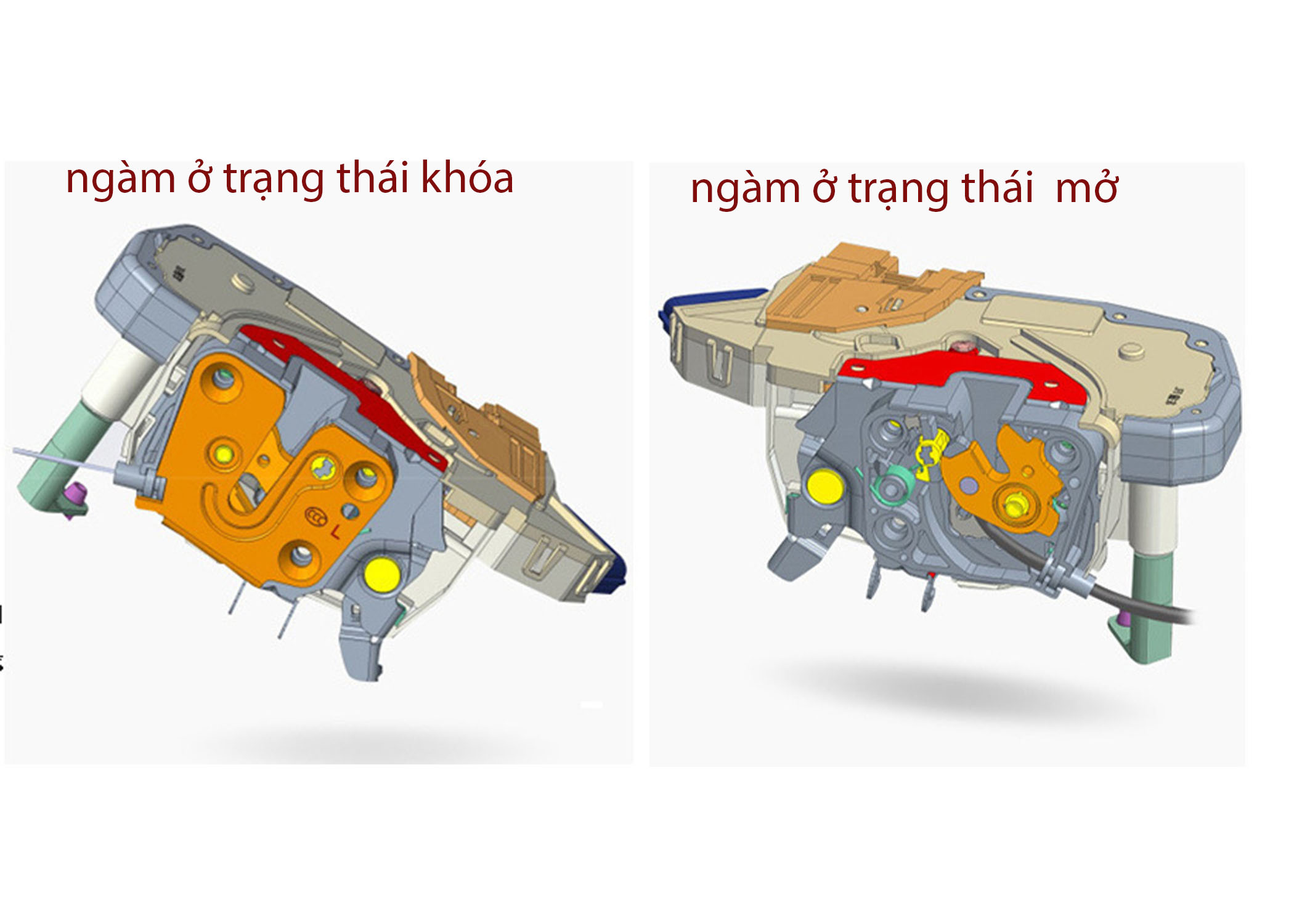 CARVIET - ĐỘ XE CHUẨN HÃNG